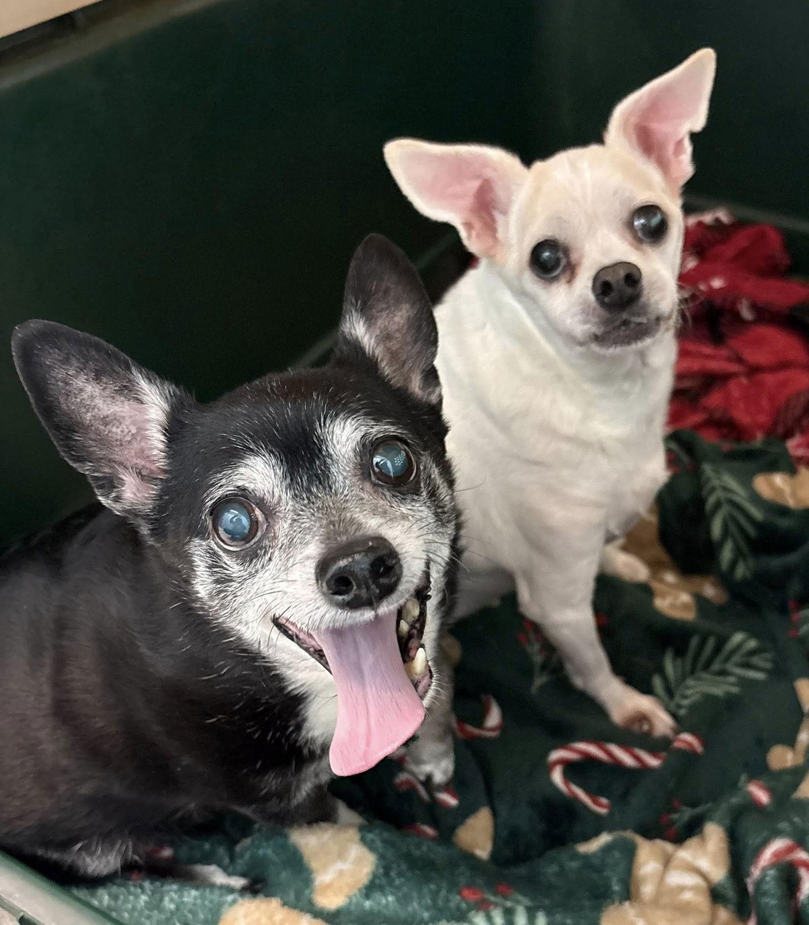 Mj And Scrappy Bonded