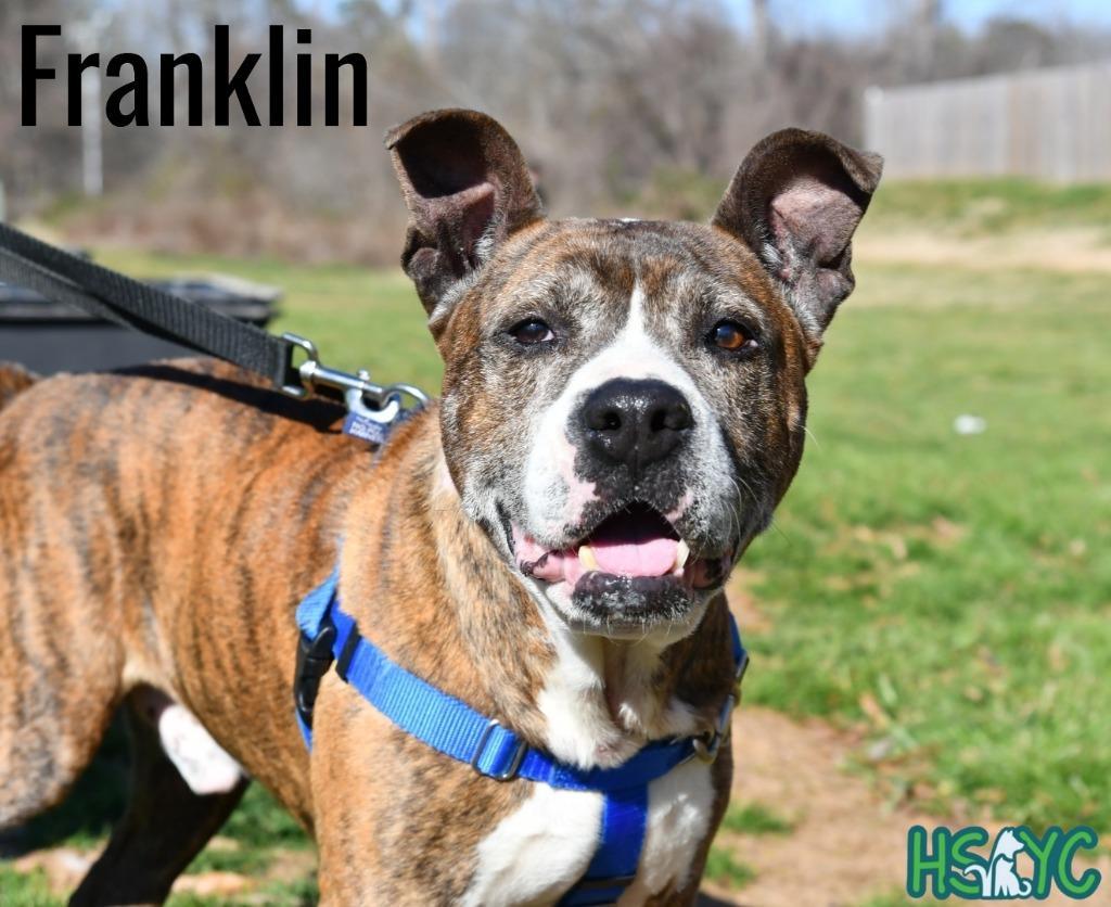 Franklin