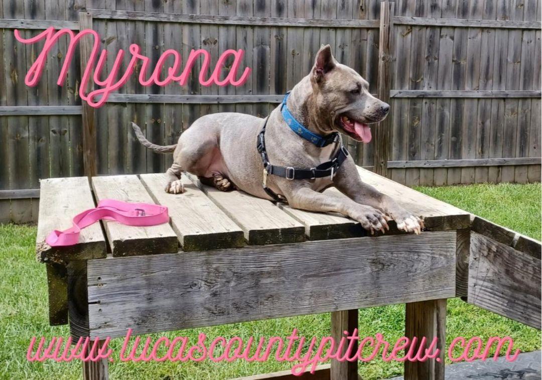 Myrona
