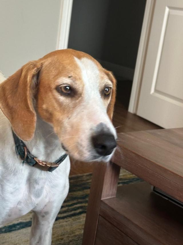 Lucky Courtesy photo 1