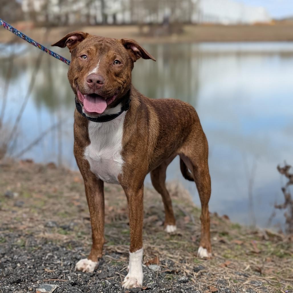 Sarah Jessica Barker