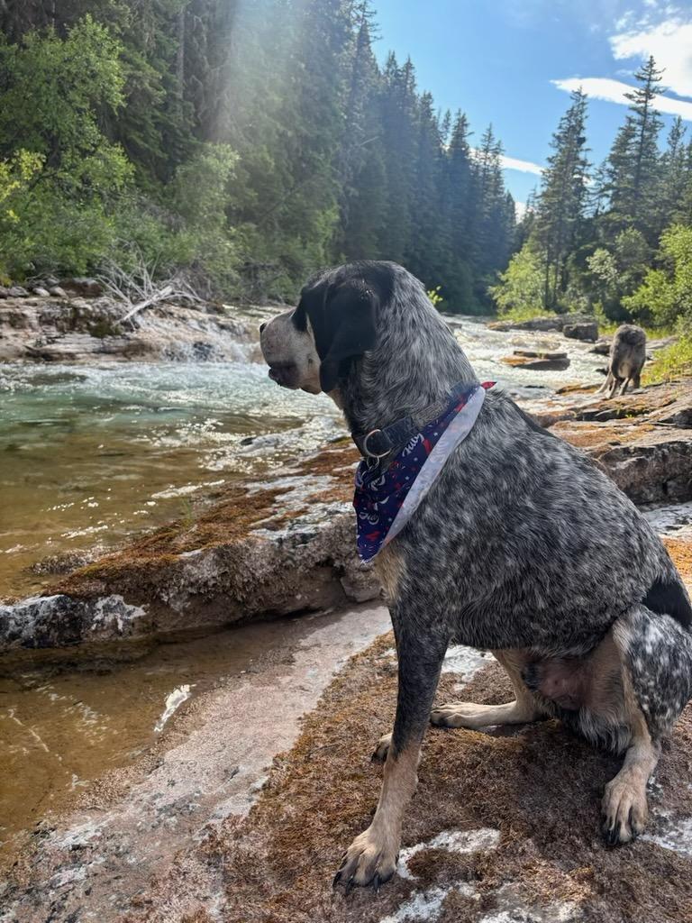 Copper Courtesy Listing