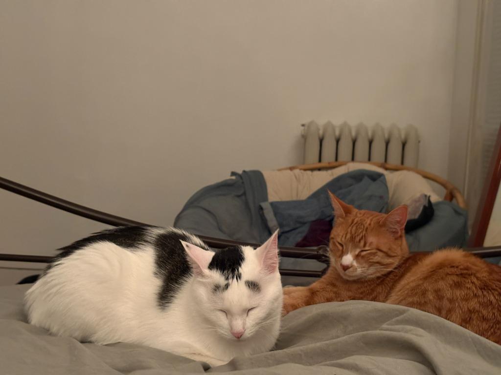 Green Bean Casserole