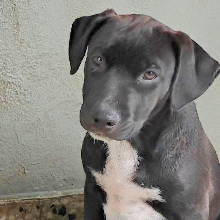 Negra "love Me Today!"