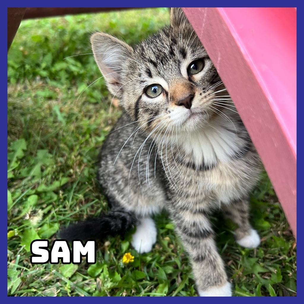 Sam