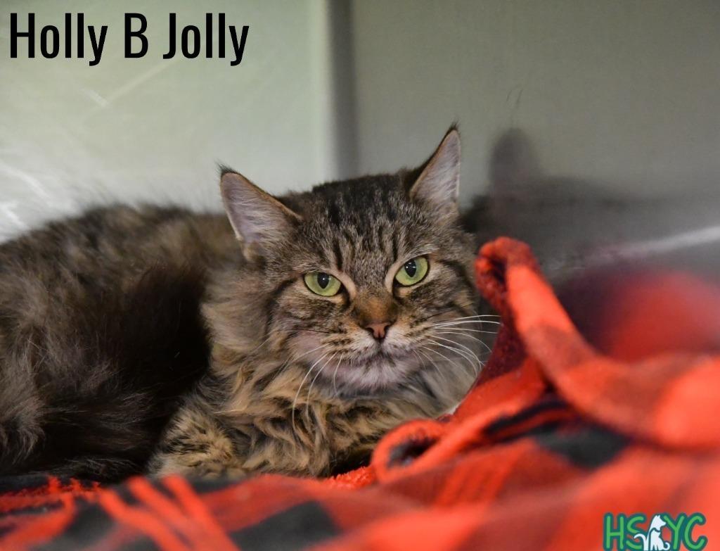 Holly B Jolly