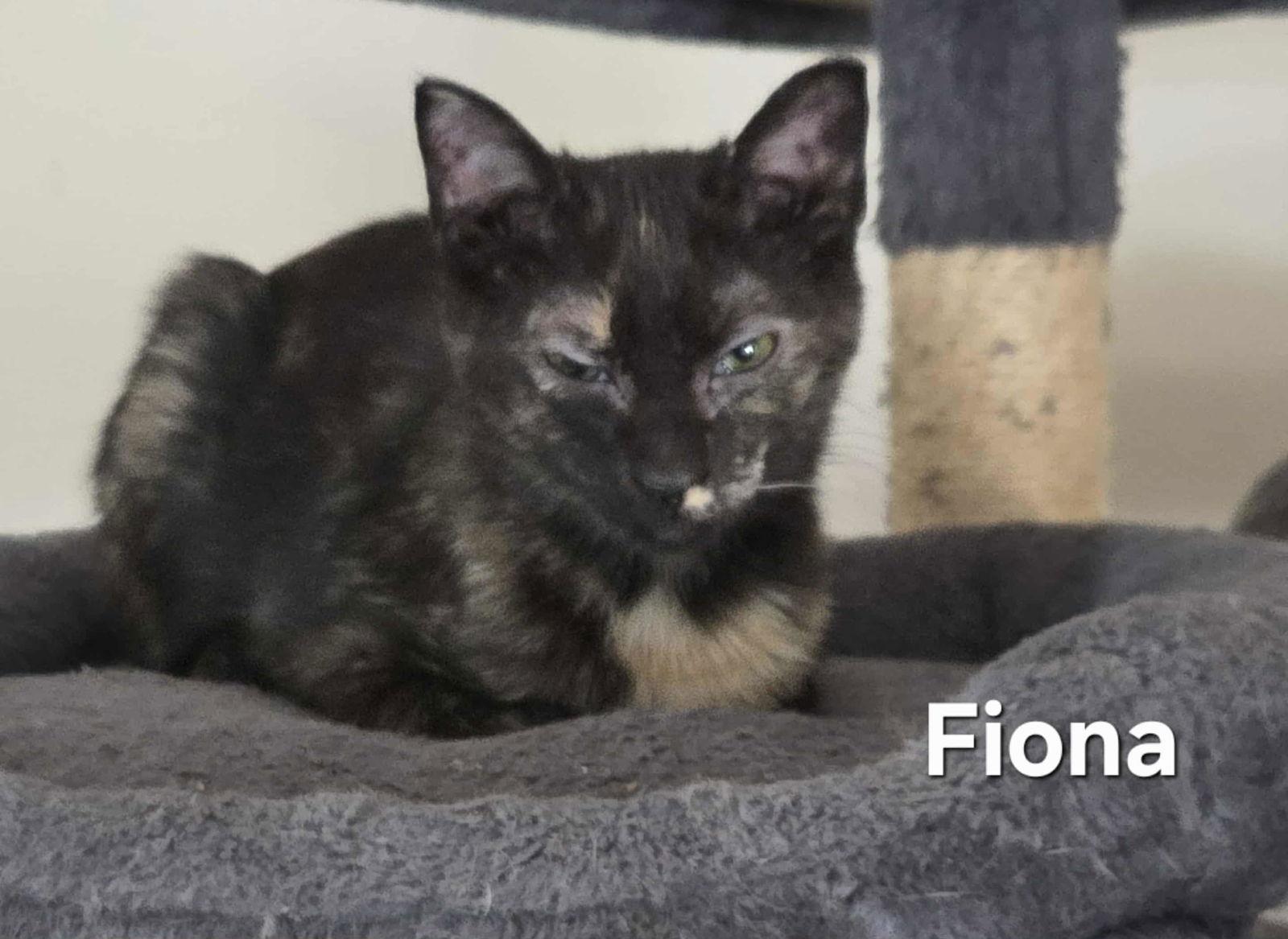 Fiona