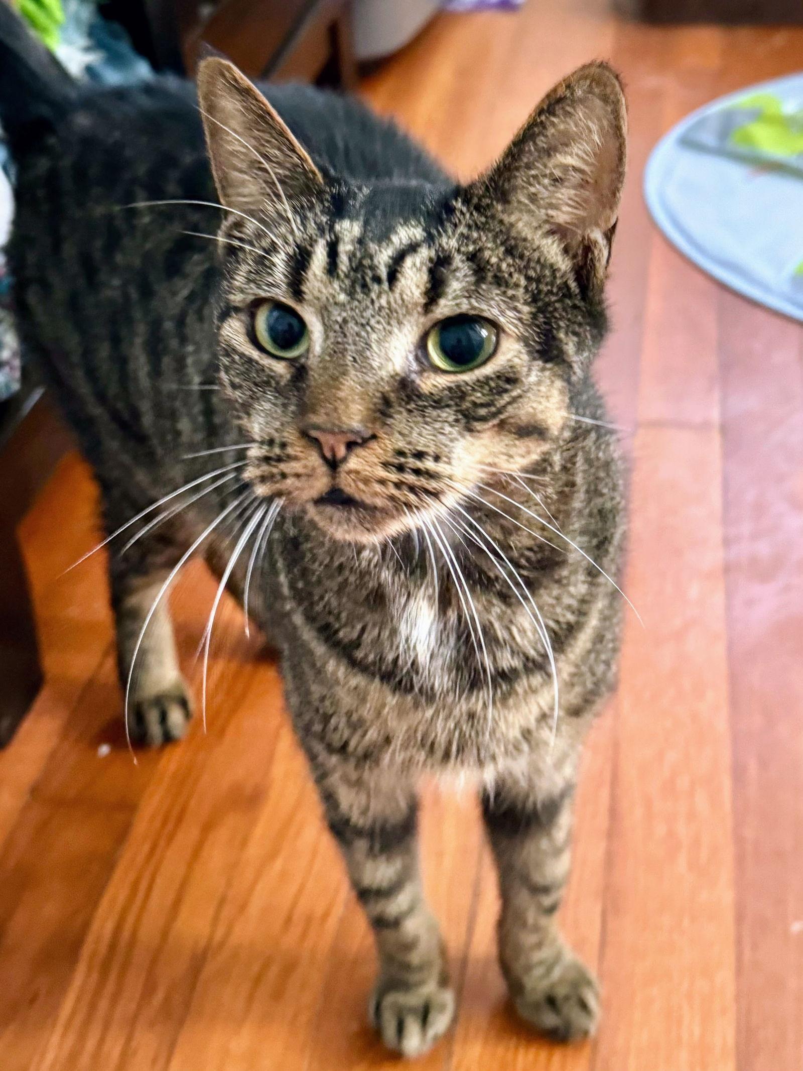 Steve Harvey photo 1