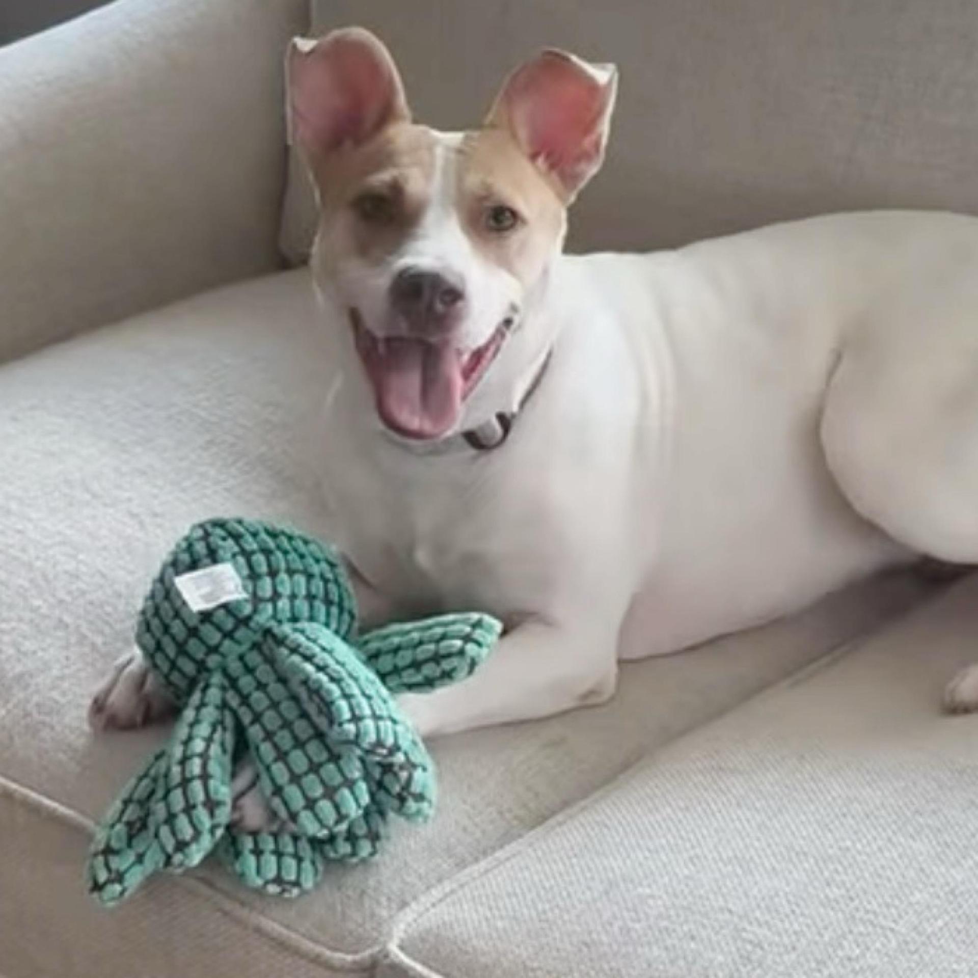 Ella