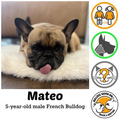 Mateo