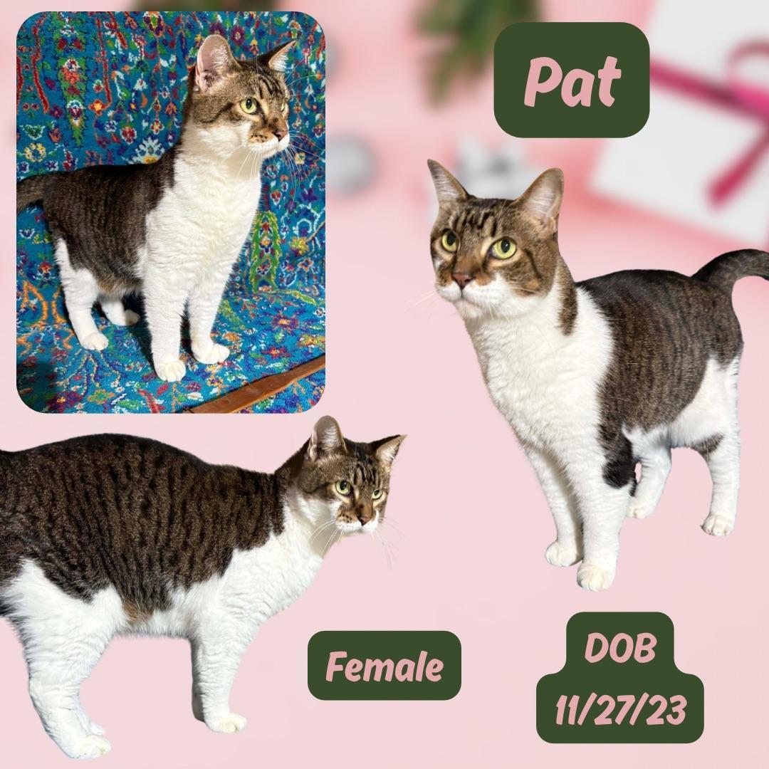 Pat