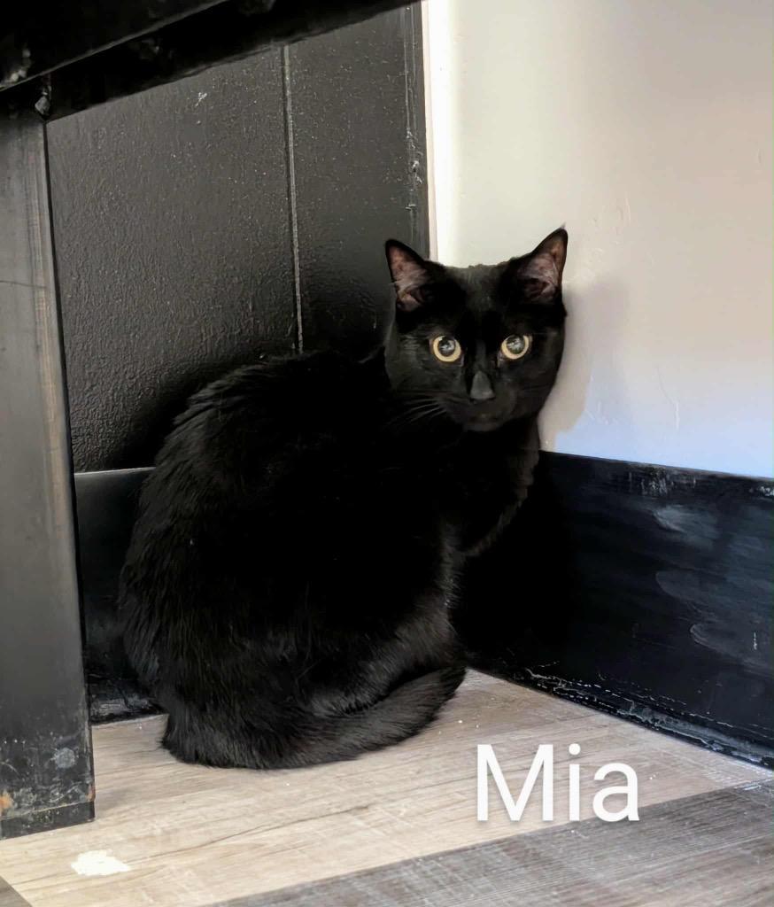 Mia