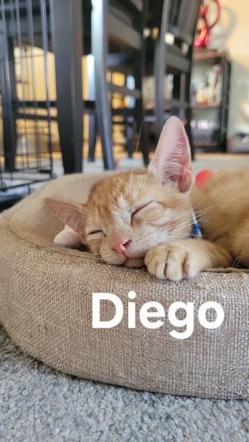 Diego