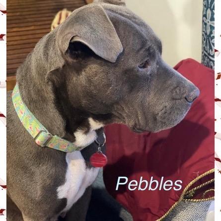 Pebbles