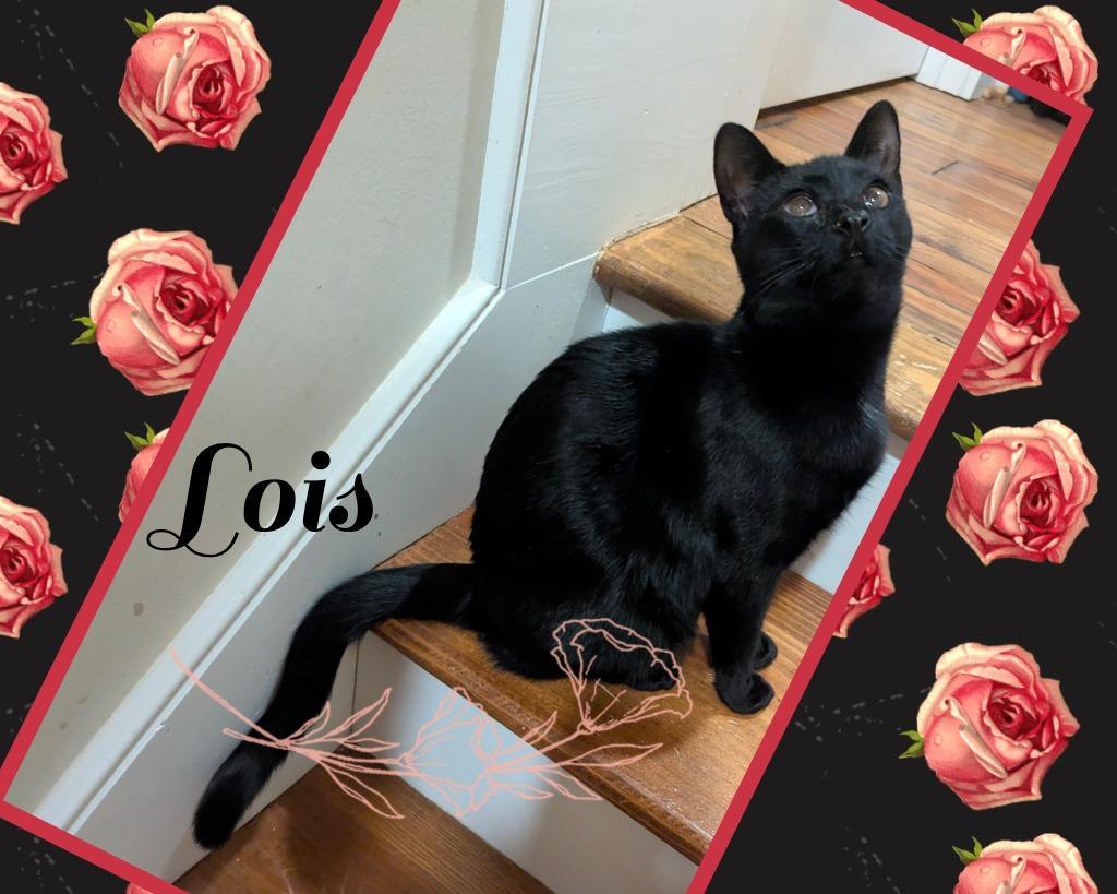 Lois