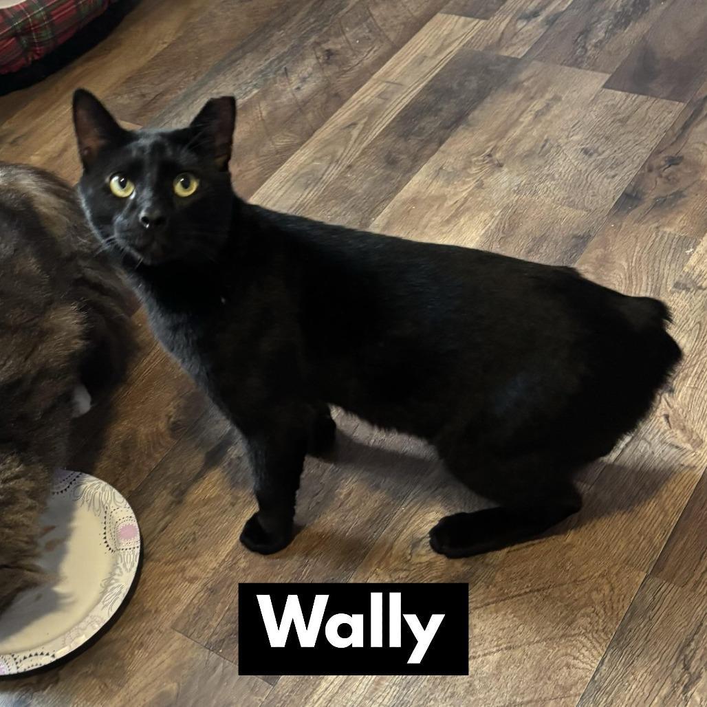 Wally
