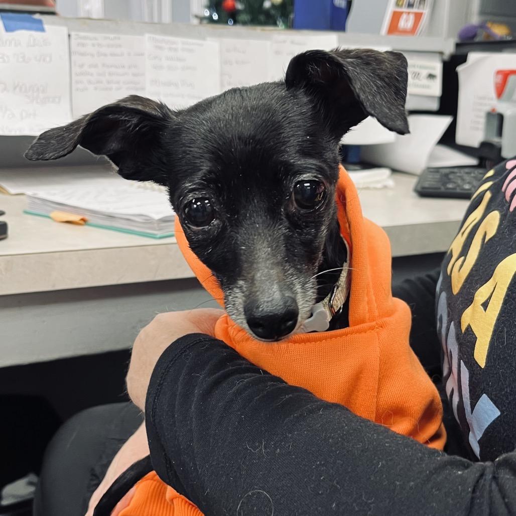 Gertrude Aka Cupcake