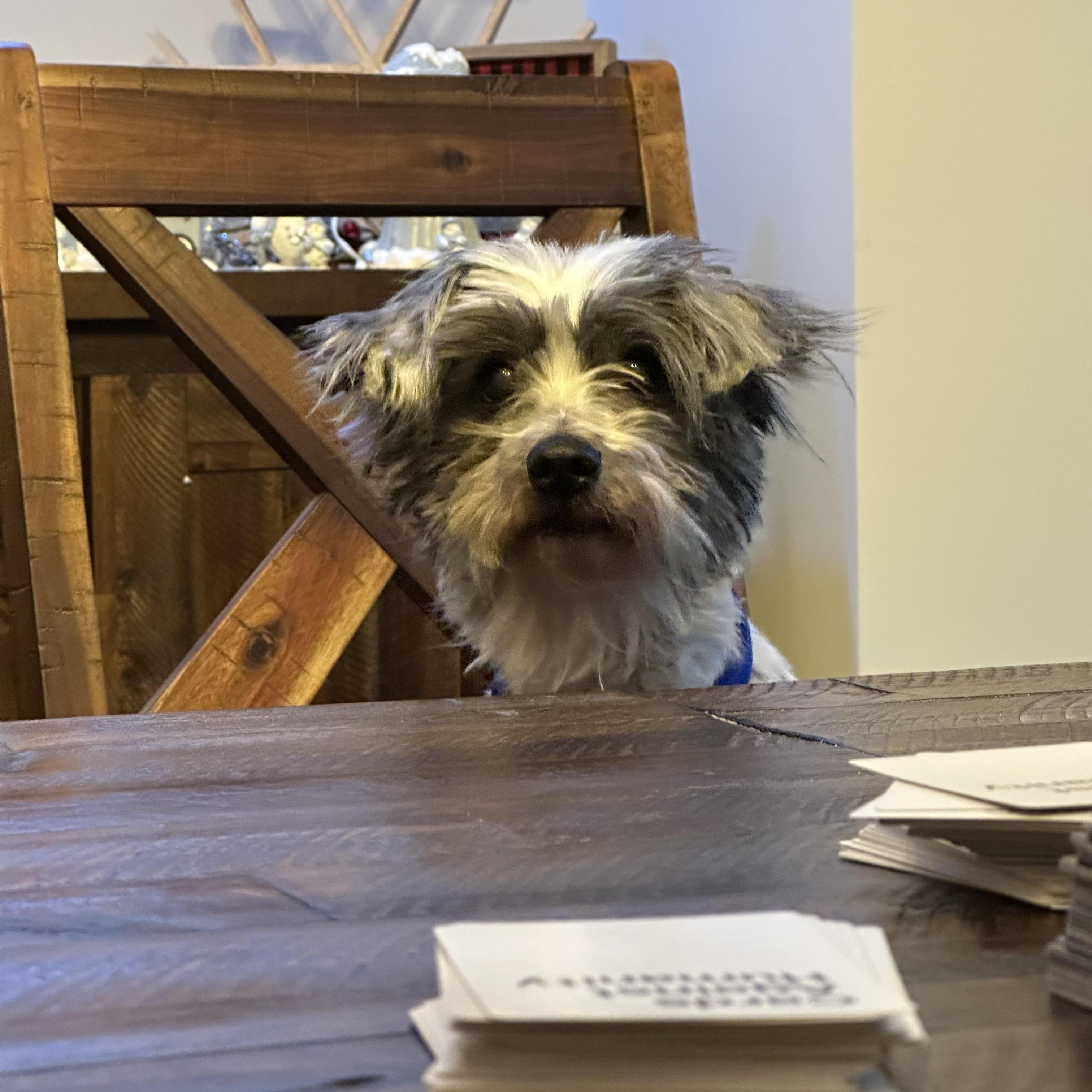 Medicloves His Teddy