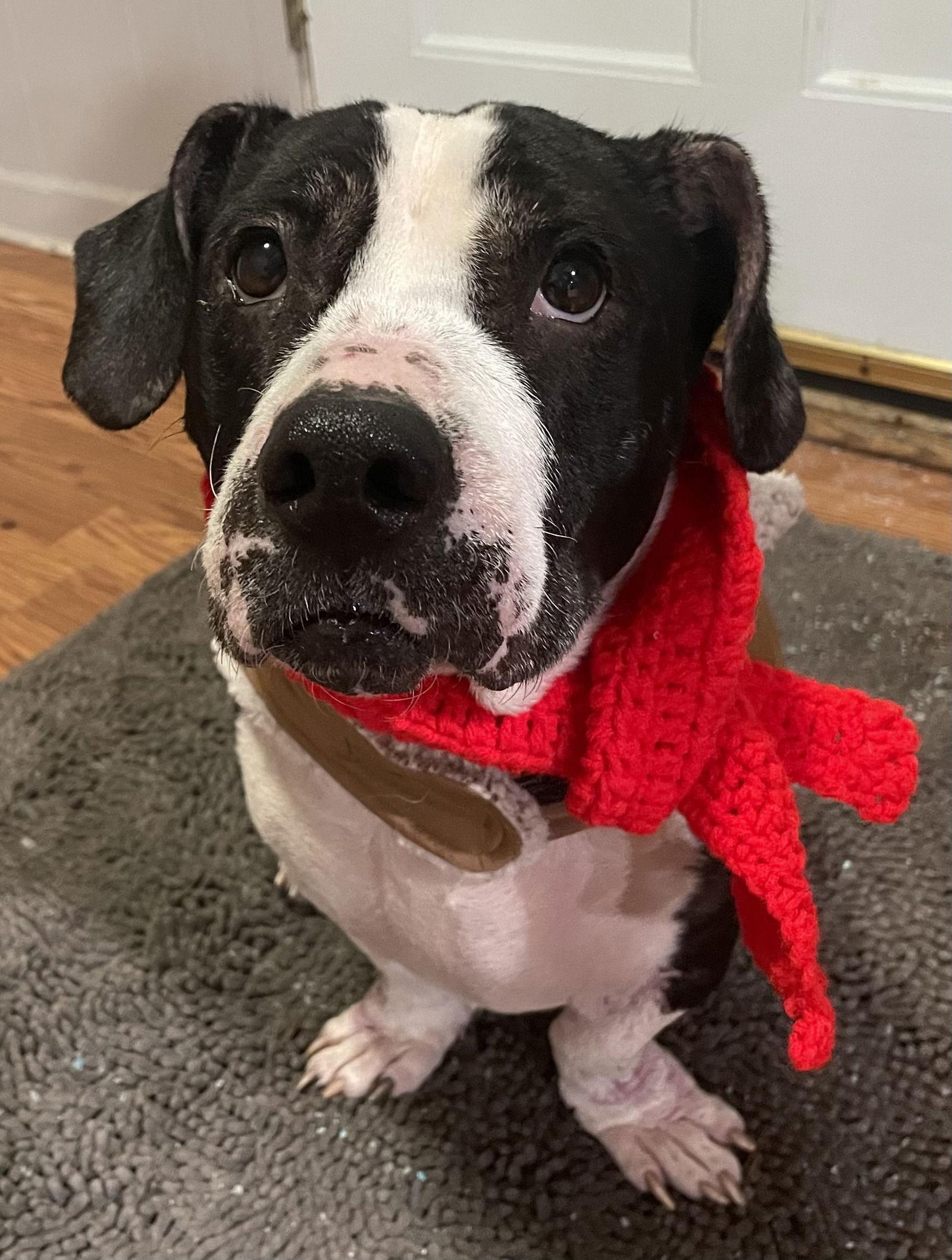 Cally Coolest Lookin' Girl