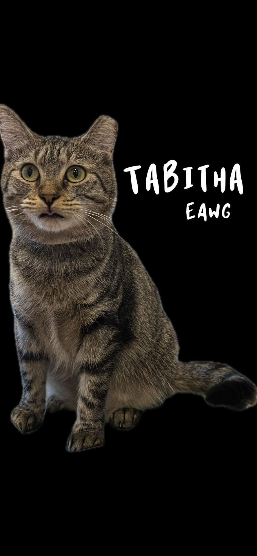 Tabitha