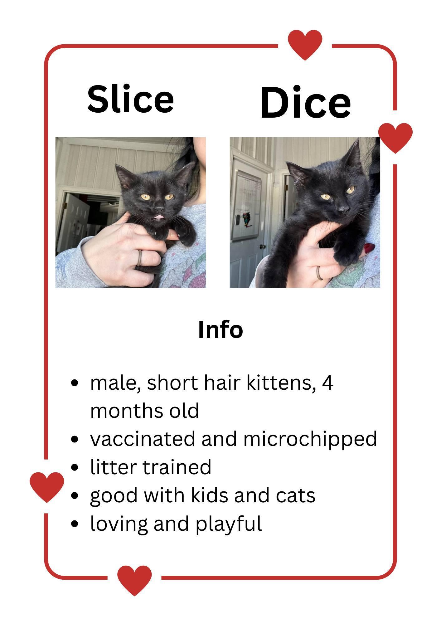 Slice And Dice