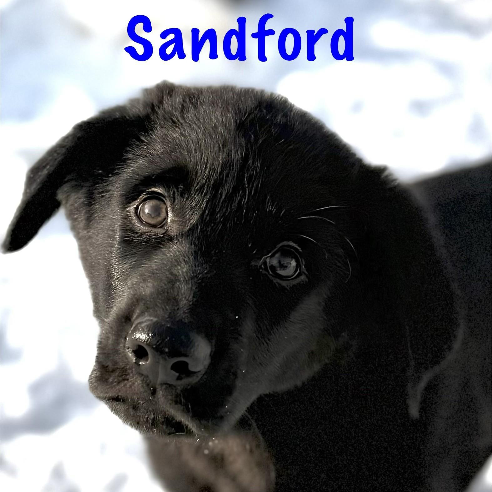Sanford