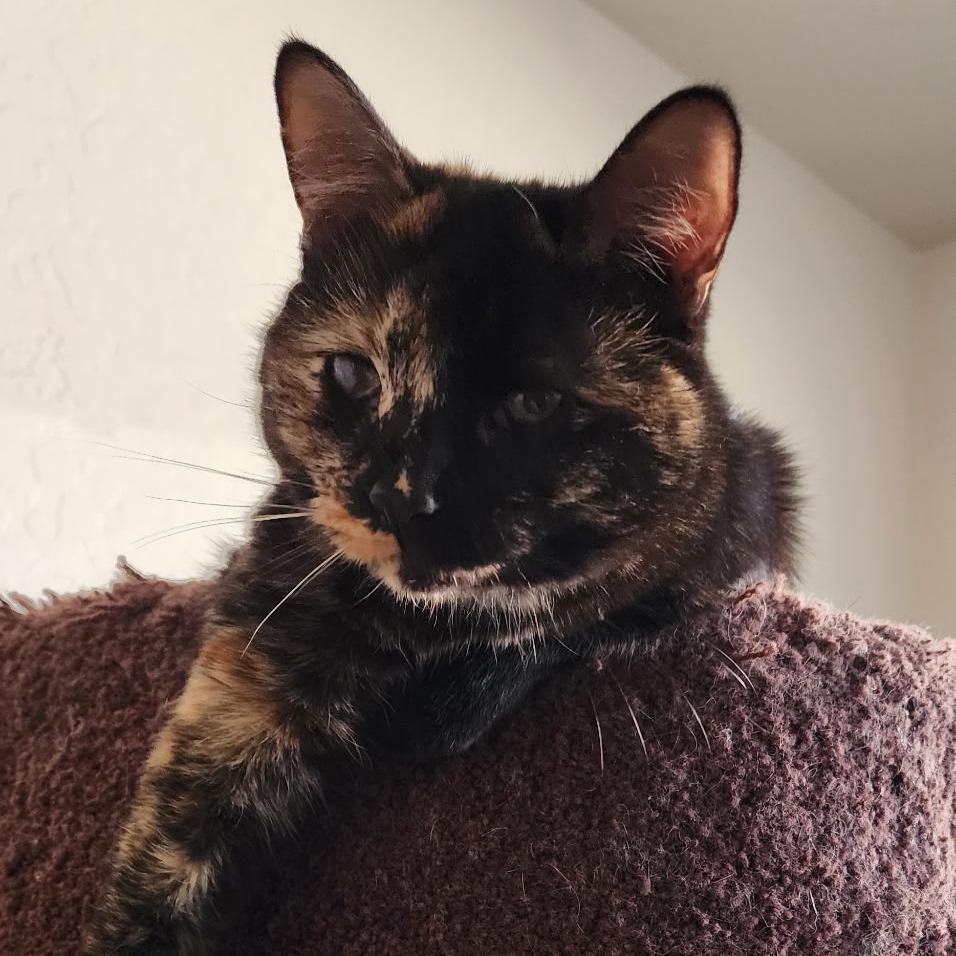 Destiny Rickard photo 1