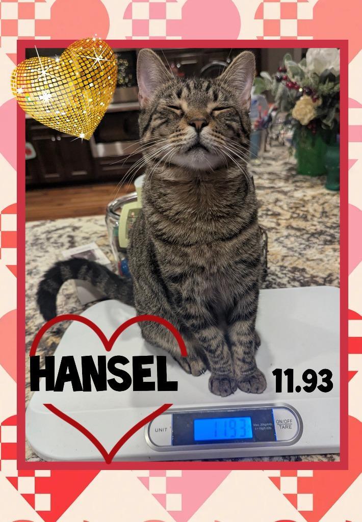 Hansel