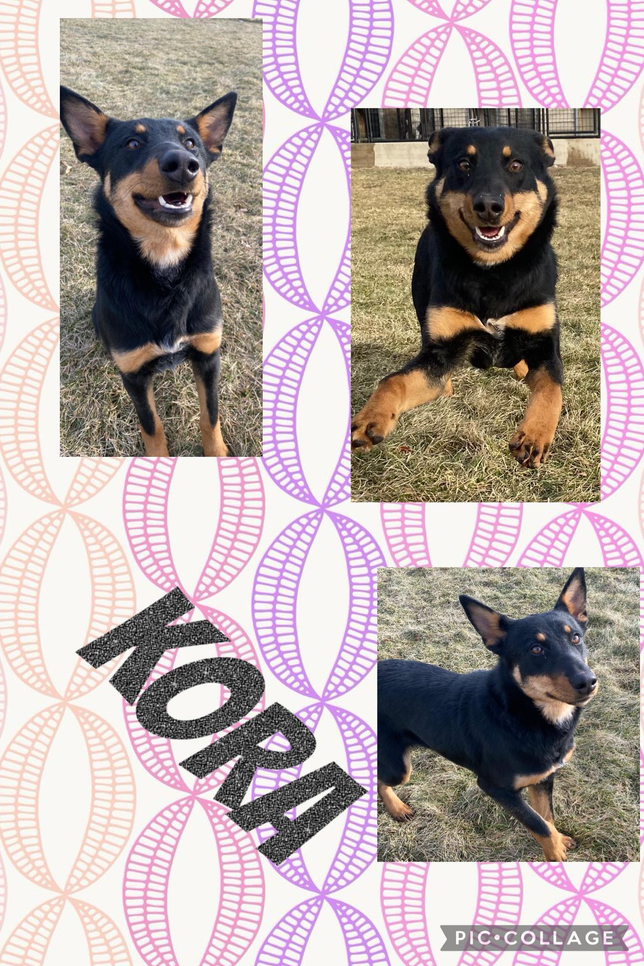 Kora