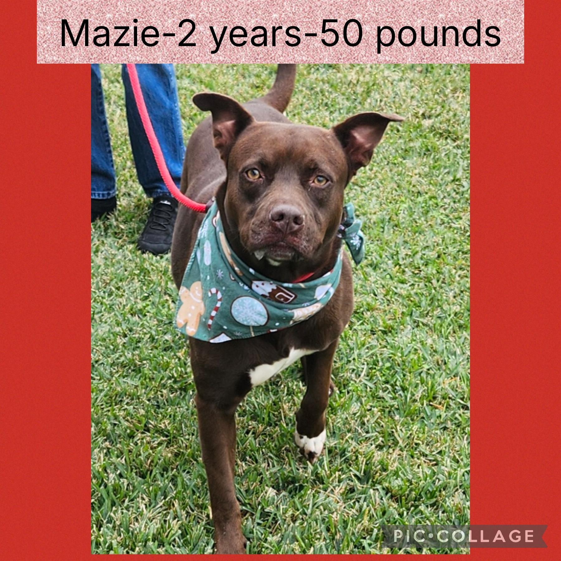 Mazie