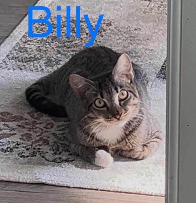 Billy
