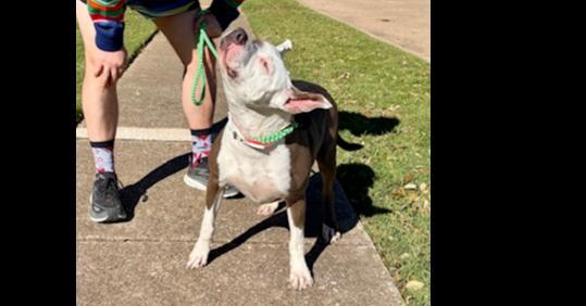 Daisy Pka Jaycijayceari