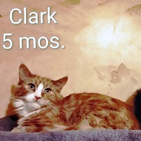 Clark photo 1