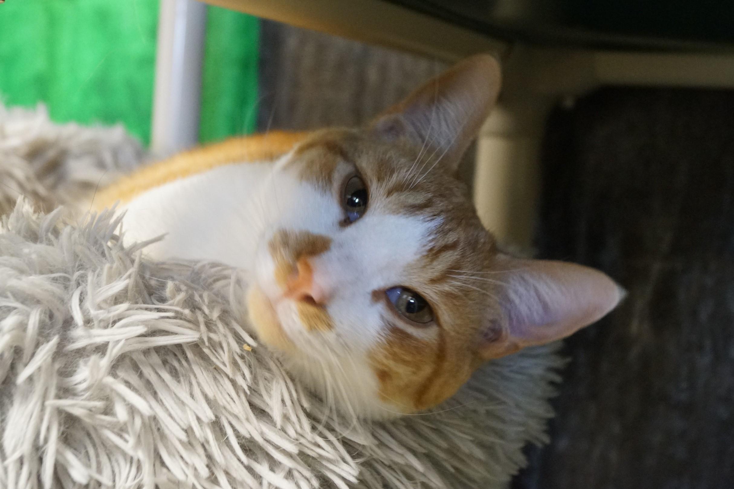 Ellie Bonded With Penny!