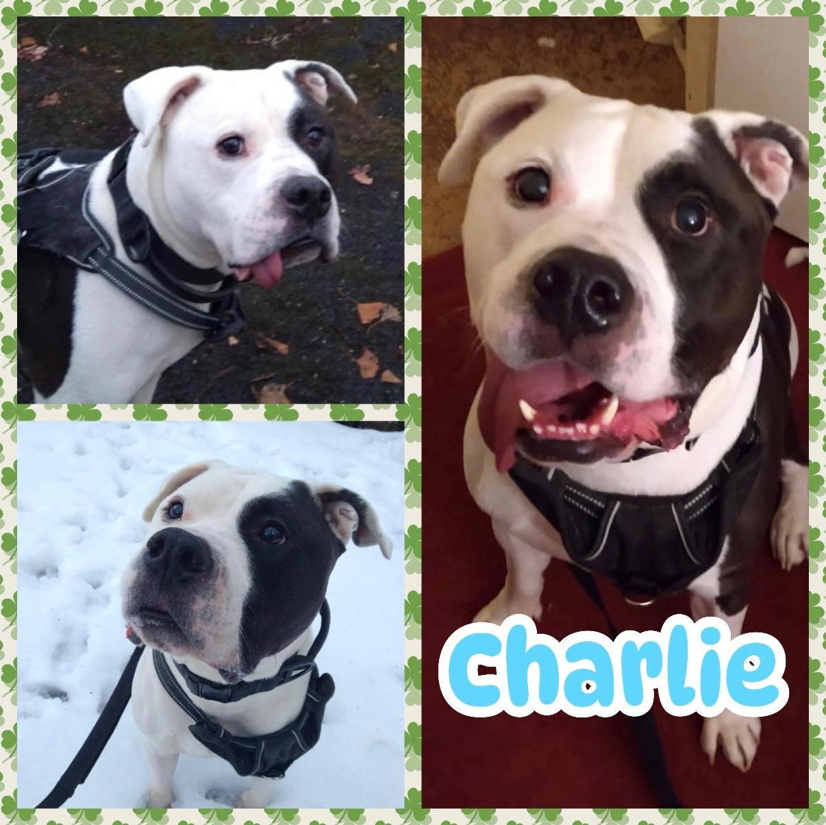 Charlie