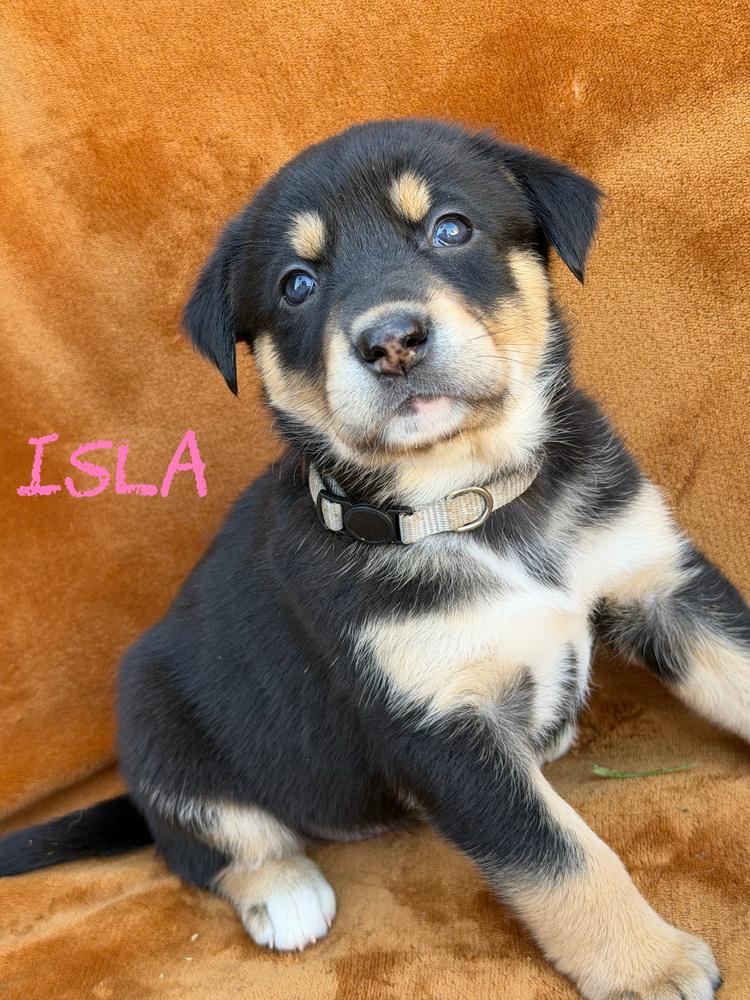 Isla