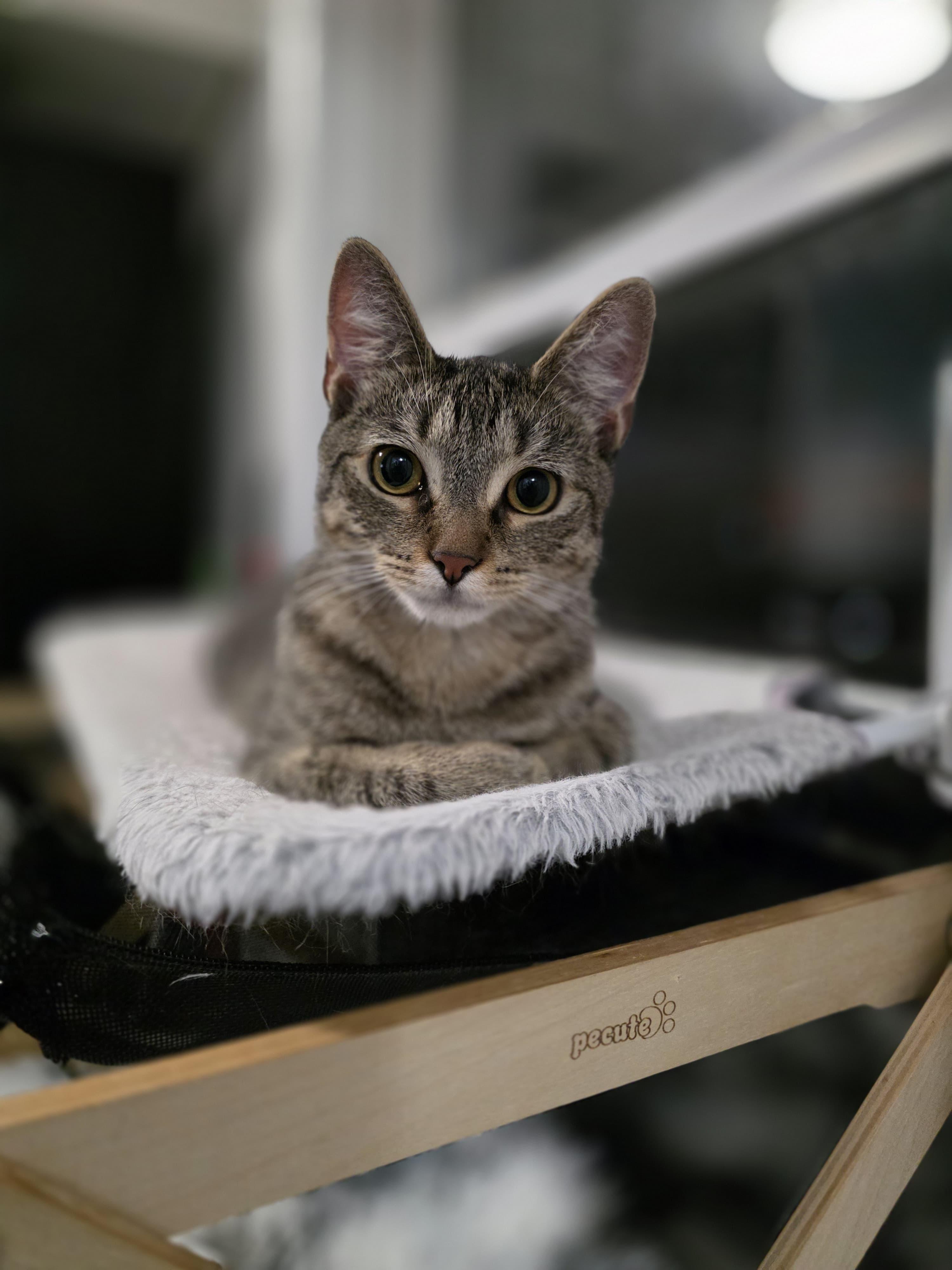 Meet Baby Boy Skylerschedule