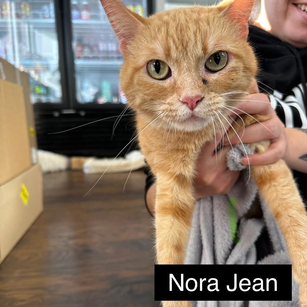 Nora Jean