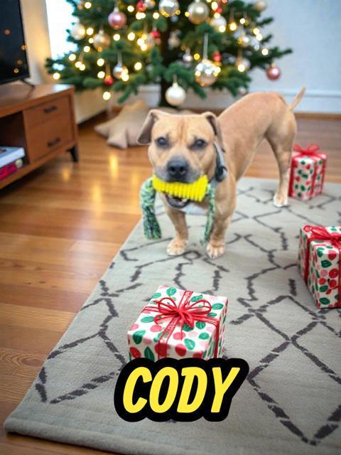 Cody