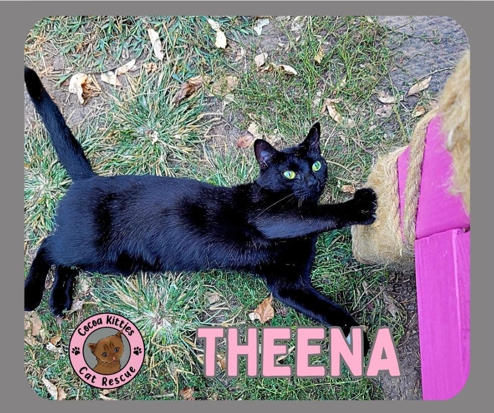 Theena