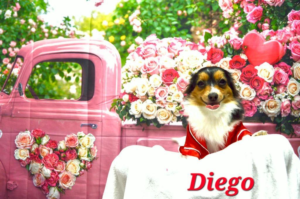 Diego
