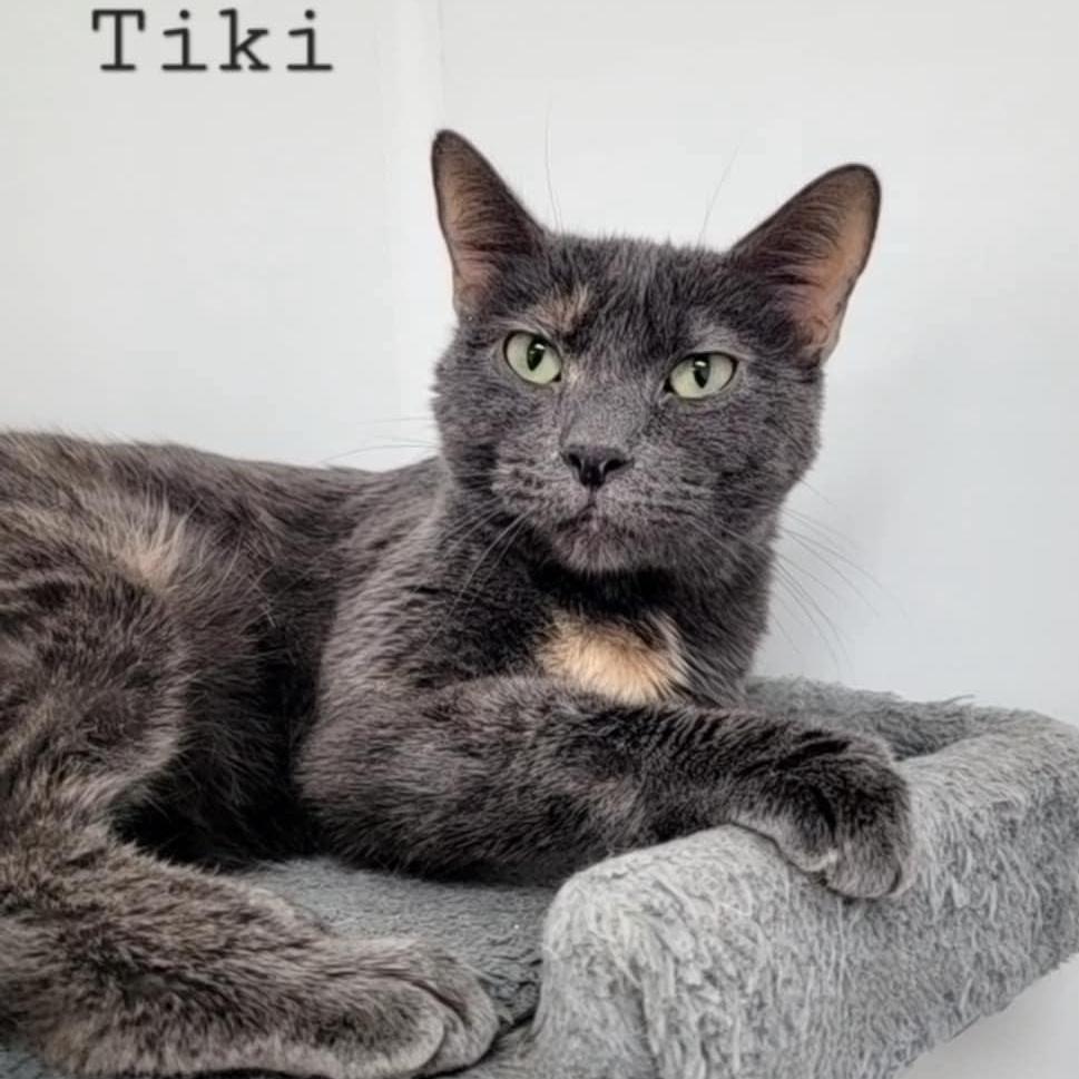 Tiki