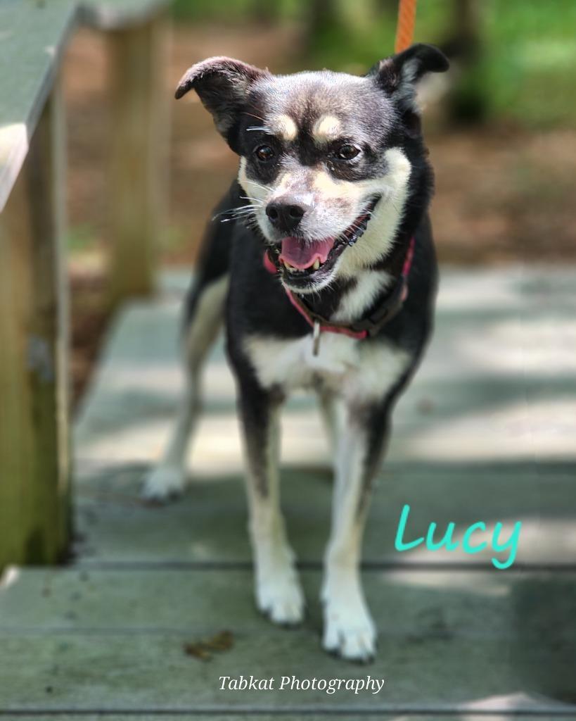 Lucy