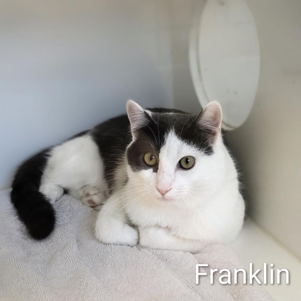 Franklin