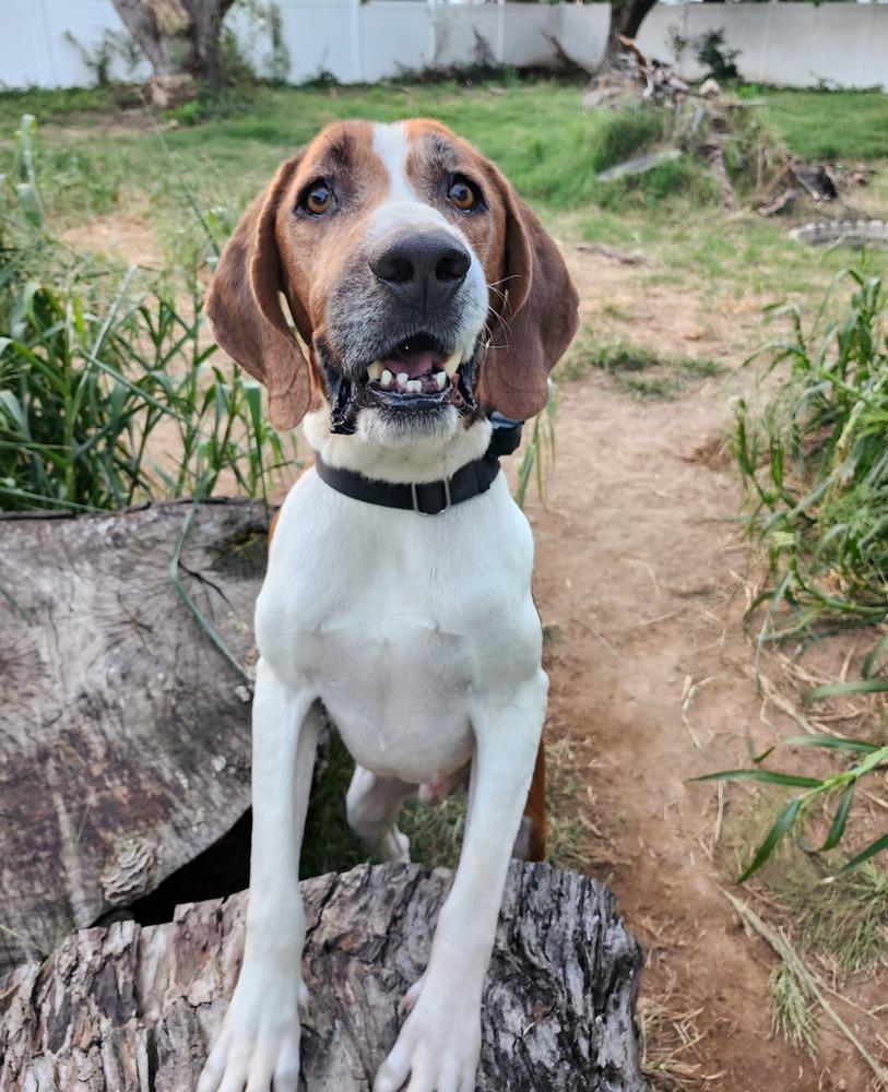 Nelson Tarboro photo 1