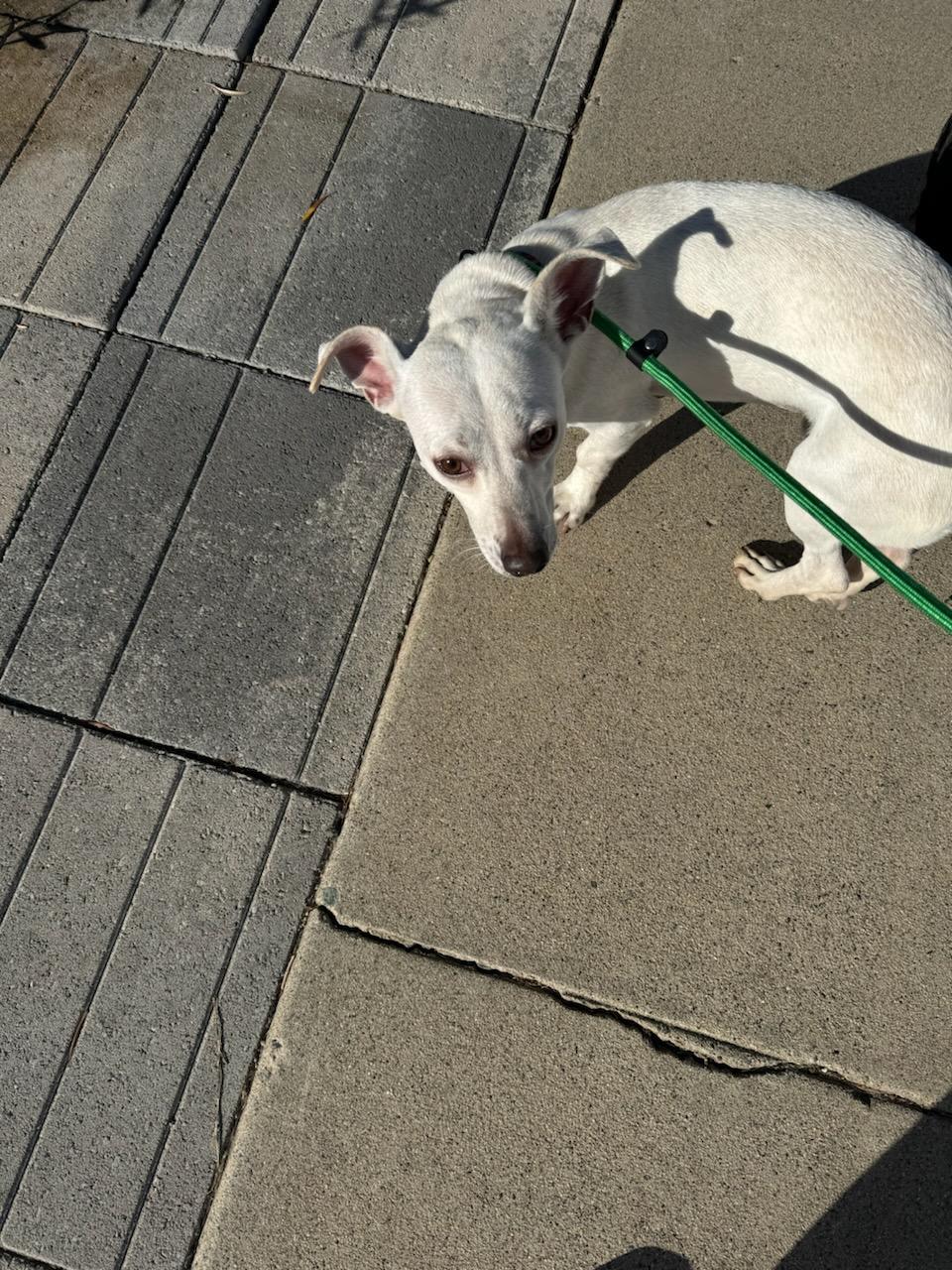 Tuffy Tuffy Tuffy Hefty