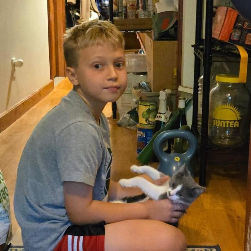 Purple Mountain Majesty