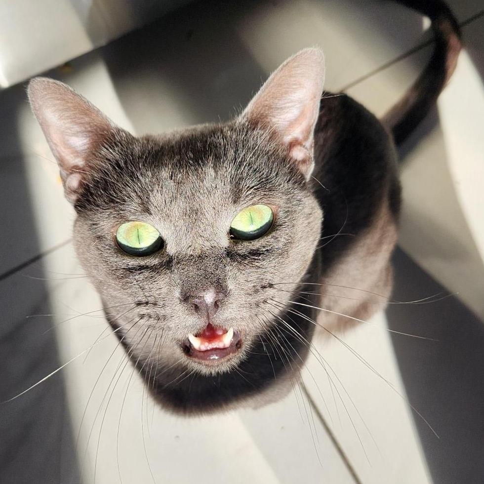 Sir Reginald Ferguson