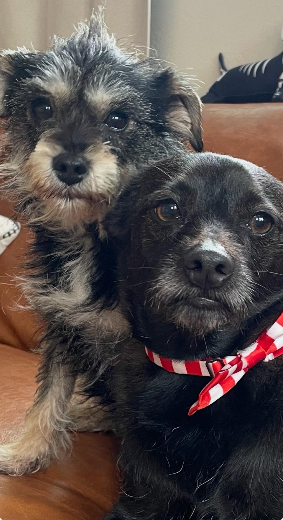 Nina And Pepper photo 1