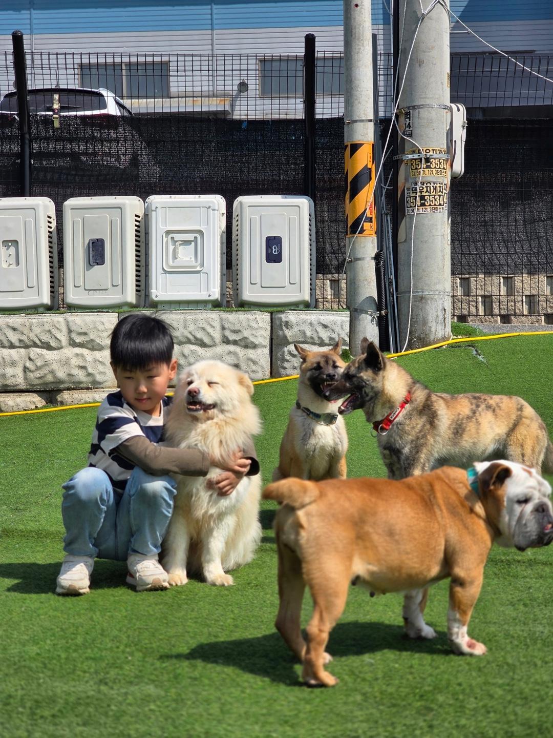 Milkie-white As Snow-lbs photo 1